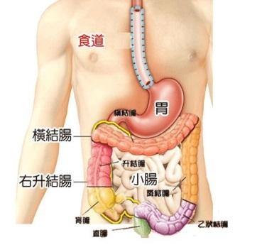 肛交之前如何清洗直肠 爱白网