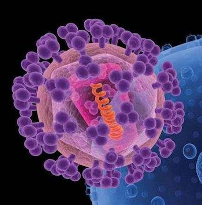 Cell Chemical Biology：新分子展现HIV疫苗潜力