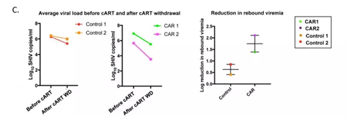 厉害了！新型CAR-T疗法可抑制HIV感染