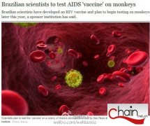 巴西研制成功抗艾滋病疫苗 可抑制HIV病毒传播