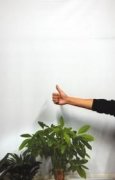 湖南艾滋大学生称爱情顺其自然想进外企工作