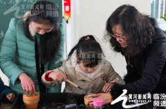 临汾红丝带学校孩子们学栽培多肉植物欢度新年