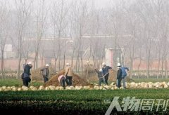 相隔万里的艾滋村：最大难题不是生病 而是生活