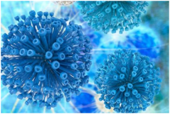 PNAS：构建出抵抗HIV的免疫细胞，有望治愈HIV感染