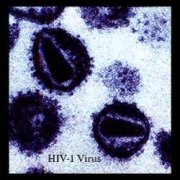 新型数学模型解析中和抗体和HIV-1相互作用机制