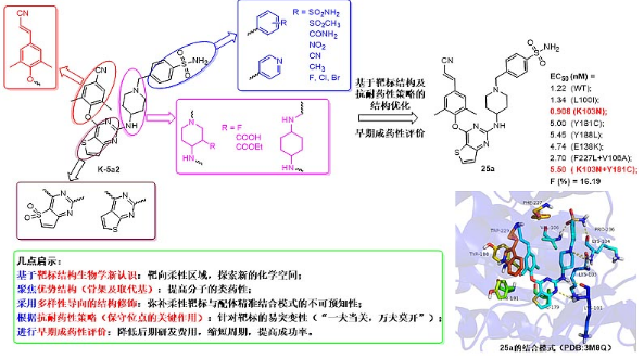 山东大学药学院发现新一代高效抗耐药性 HIV-1抑制剂