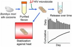 蚕丝蛋白可让基于蛋白的HIV抑制剂在高温有效